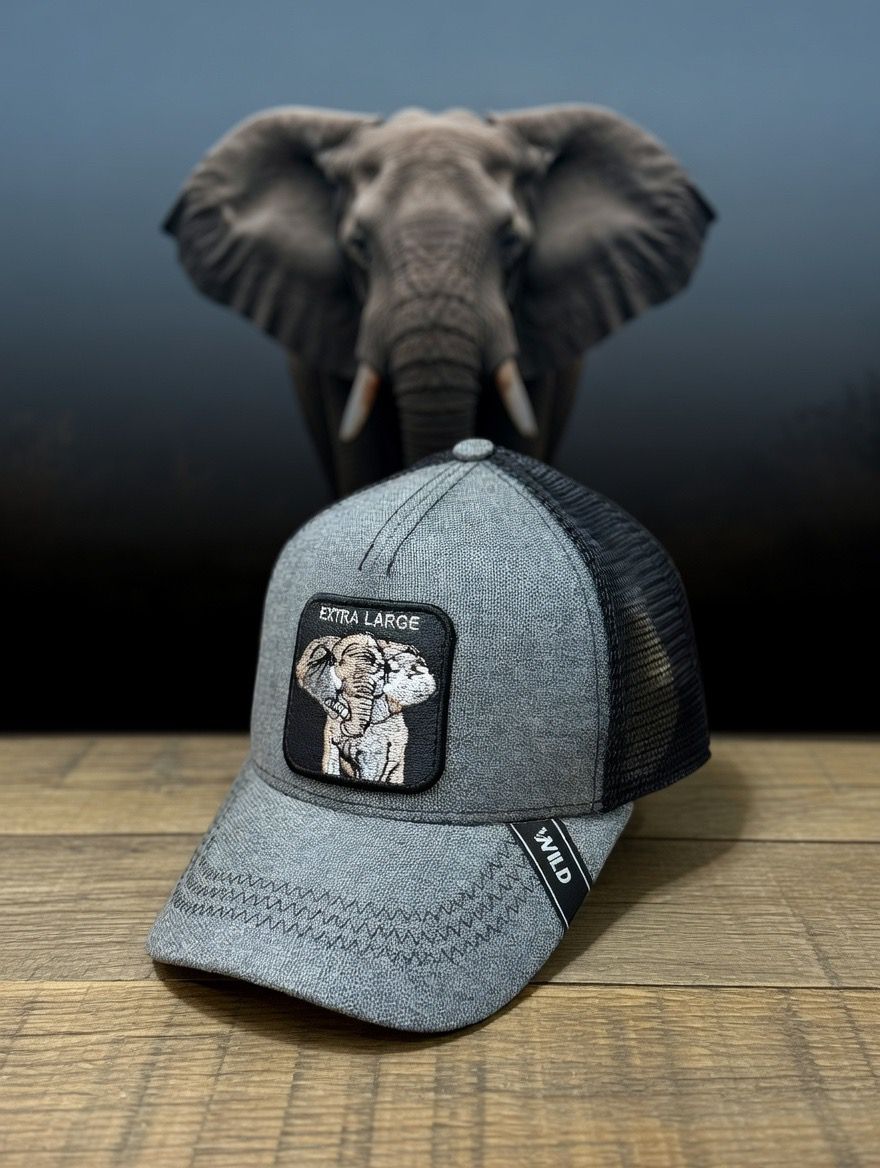 Gorra Animales Elefante